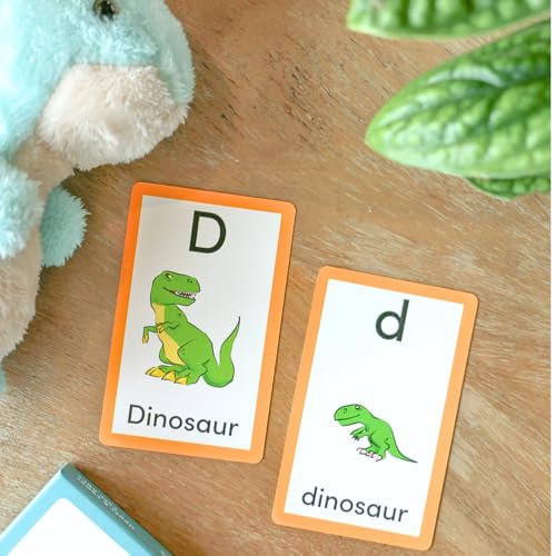 Preschool Flash Cards | ABCs Letters Numbers Shapes Colors | Ages 2-5 | Created by Dr. Derek Lester | Premium Flashcard 3 Box Set - style: Box Set