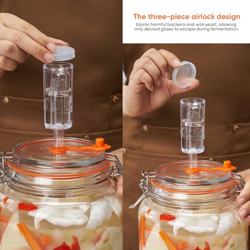 0.6 Gal Fermentation Kit, Glass Jars, Weights & Airlocks, 2 Pack - size: 0.6 Gallon