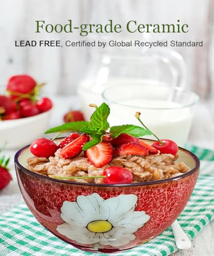 Ceramic Cereal Bowl Set of 4 for Kitchen - 28oz Ramen Bowls for Soup, Oatmeal, Salad, Pasta - Floral Patterns Retro Bowls for Breakfast, Dinner - Dishwasher, Oven and Microwave Safe