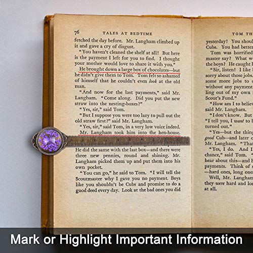 Wisdompro 2 Pcs Metal Bookmark Ruler with Dried Flower - Blue & Purple - color: Blue & Purple