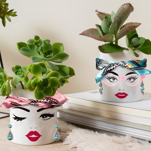 DSjuedui Funny Face Planter Pot Accessories, 29Pcs Face Stickers for Crafts