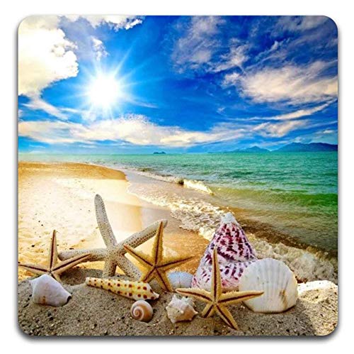 Beach Shells Square Coaster Set - Made of Recycled Rubber - Set of 4 - color: Beach Shells
