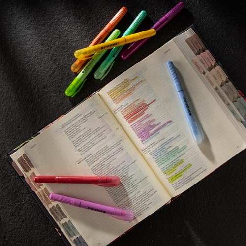 DIVERSEBEE Bible Highlighters and Pens No Bleed (Sorbet) - color: Sorbet