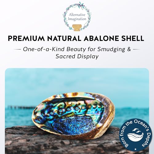 Hand Selected Abalone Shell, 6-Inch+ Polished Smudging & Display Bowl - size: 6 Inches