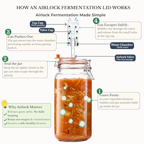 JILLMO 2L Wide Mouth Fermentation Jar with Airlock & Weight, 2 Pack - size: 2 Liter