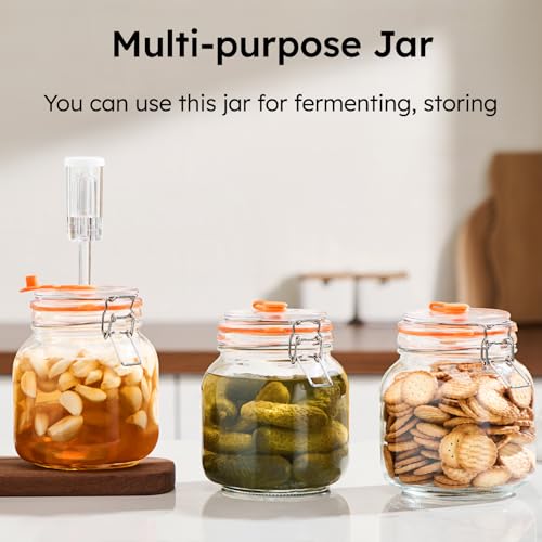 JILLMO 32 oz Glass Fermentation Jar Kit with Airlock, 2 Pack