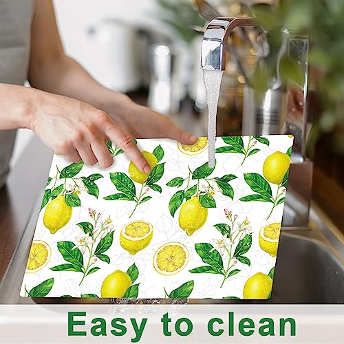 Lemon Placemats Set of 6 Summer Plastic Table Mat 17×13×0.04in - style: Lemon