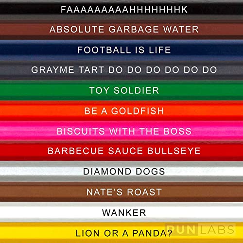 Ted Lasso Colors Colored Pencils - 12 Ted Lasso-Inspired Parody Pencil Set with Clever Foil-Stamped Names, Soft Core Colored Pencils for Drawing, Coloring Books, Journals & Sketching Art - style: Ted Lasso