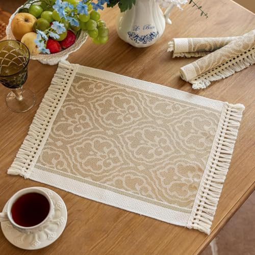 Boho Woven Placemats Set of 4, 14x18 Inch Heat Resistant Dinner Mats - color: Coffee Bx