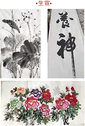 MEGREZ Raw Xuan Rice Paper Chinese Japanese Sumi Calligraphy Painting Sheet - size: 34 x 34 cm (13.4 x 13.4 inch)