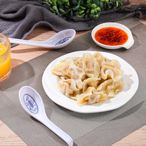 Hushee 100 Pcs Asian Soup Spoon Large Chinese Noodle Ramen Reusable Japanese Pho Spoon Bulk with Hook for Home Restaurant - style: Elegant