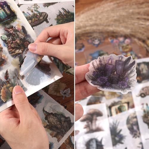 Fantasy Scrapbook Stickers 20 Sheets 240 Pre-Cut Magic Washi Stickers for Journaling PET Transparent Book Sticker Decorative or DIY Paper Crafts, Arts and Crafting Projects - color: Star Academy