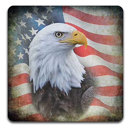 American Eagle Square Coaster Set - Made of Recycled Rubber - Set of 4 - color: American Eagle