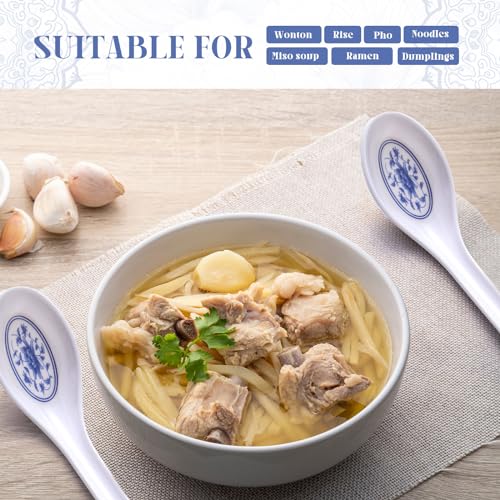 Hushee 100 Pcs Asian Soup Spoon Large Chinese Noodle Ramen Reusable Japanese Pho Spoon Bulk with Hook for Home Restaurant - style: Elegant