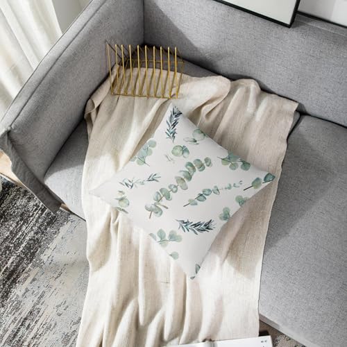 Emvency Throw Pillow Covers, 20 x 20 Inch, Eucalyptus Watercolor Greenery - size: 20" x 20" (Pack of 1)