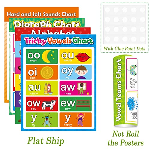 gisgfim 12 Pieces English Phonics Language Posters Decorations for Word Wall Phonics Charts for Alphabet Flash Cards Materials