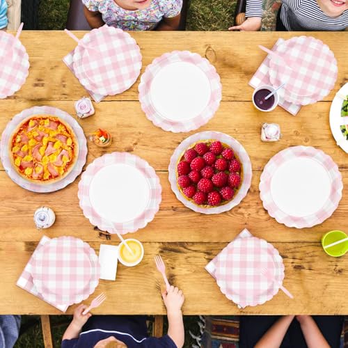96Pcs Pink Gingham Party Decorations, Serve 24 - style: Light Pink Gingham