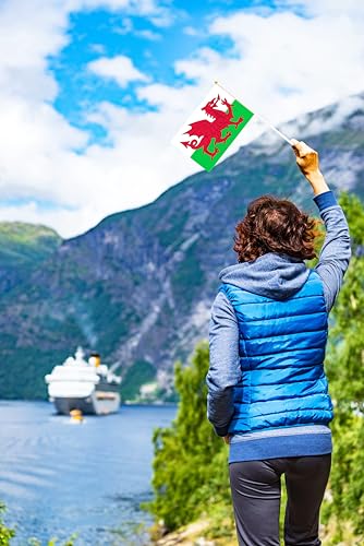 50 Pack Welsh Wales Flags Small Mini Hand Held Welsh Wales on Stick Flags, Miniature National Country Flags,Party Decorations Supplies for Parades,International Festival - color: Welsh
