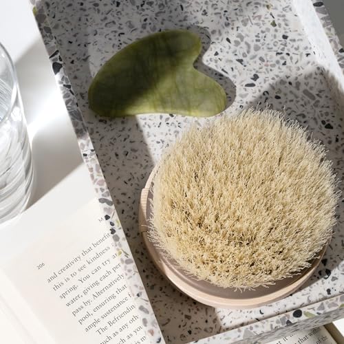 EcoTools Dry Body Brush for Dry Brushing, Smooth Skin, 1 Count - color: No Color, size: 1 Count (Pack of 1)