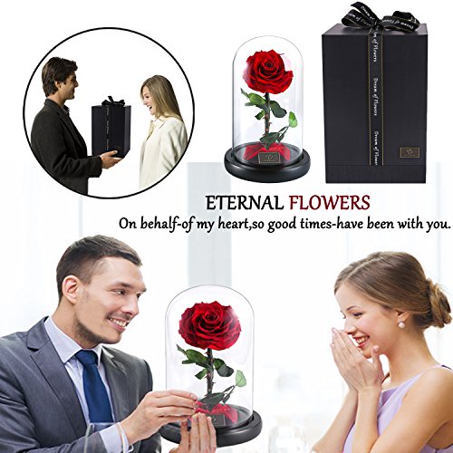 Mothers Day Roes Gifts,Gifts for Mom Flowers for Delivery Prime,Beauty and the Beast Rose in Glass Dome,Birthday Gifts for Women Her Mom Wife Girlfriend Grandma on Mother‘s Day Anniversary - color: Red Rose