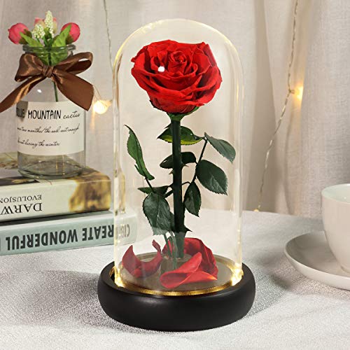 Mothers Day Roes Gifts,Gifts for Mom Flowers for Delivery Prime,Beauty and the Beast Rose in Glass Dome,Birthday Gifts for Women Her Mom Wife Girlfriend Grandma on Mother‘s Day Anniversary - color: Red Rose