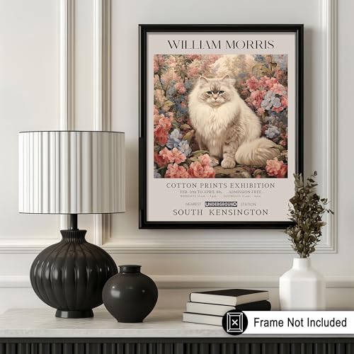 Poster Master Persian Cat Print - Flower & Animal Art - Botanical Exhibition Wall Design - Floral Cat Illustration - Aesthetic Office or Bedroom Decor - 8x10 UNFRAMED Wall Decor - color: Style-04, size: 8"L x 10"W