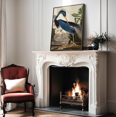 Poster Master Vintage James Audubon Poster - Louisiana Heron Print - Birds of America Art - Bird Art - Gift for Men, Women & Animal Lover - Decor for Bedroom or Living Room - 8x10 UNFRAMED Wall Art - color: Style-11, size: 8"L x 10"W