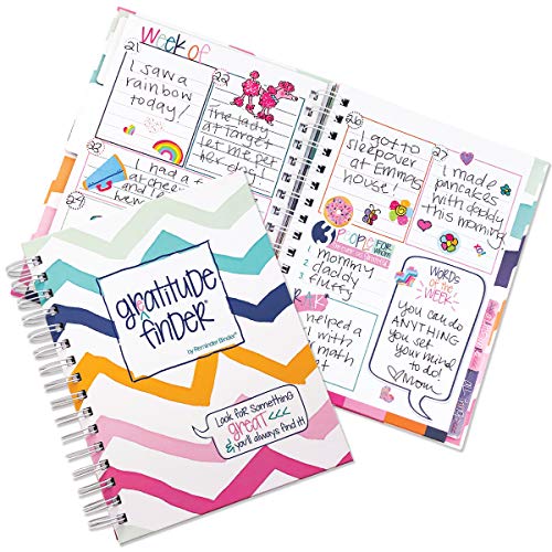 Denise Albright Gratitude Finder® 52 Week Non-Dated Journal for Women, Teens & Girls with 165 Hand-Illustrated Stickers (Summer Chevi) - color: Summer Chevi Gratitude Finder Journal