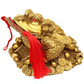 Brass Feng Shui Money Frog Three Legged Wealth Traditional Frog Money Toad Statue with Set of 5 Lucky Charm Ancient Coins on Red String Home Car Fengshui Decor (B1 Money Frog) - color: B1 Money Frog