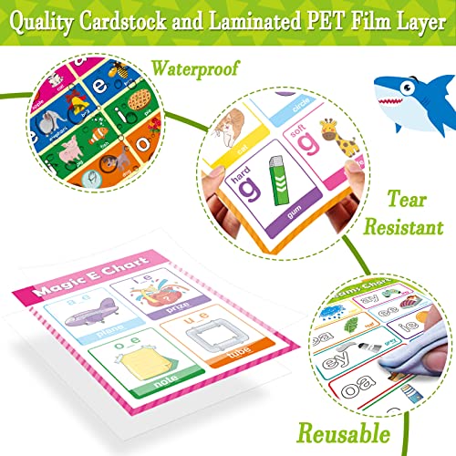 gisgfim 12 Pieces English Phonics Language Posters Decorations for Word Wall Phonics Charts for Alphabet Flash Cards Materials