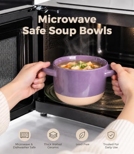 AmorArc 24 oz Soup Bowls with Lids, Ceramic Soup Containers with Handle - color: Green&Purple, size: Set of 2