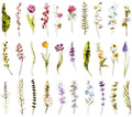 Colorful Flower Bookmarks, 30 PCS (Unknown Flower)