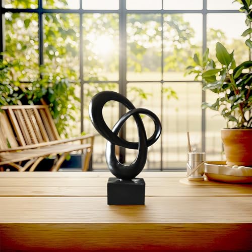 Dosker Abstract Sculpture Knot Decor Mobius Stripe Statue (Black) - color: Black
