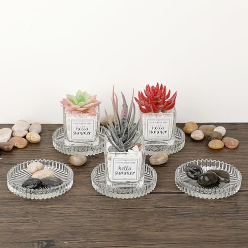 JUXYES Set of 5 Heat-Resistant Clear Glass Coaster for Hot and Cold Drinks - color: Clear, size: 5 Pack