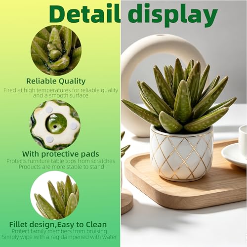 Ceramic Succulent Flower Table Centerpiece (Cactus) - color: Cactus