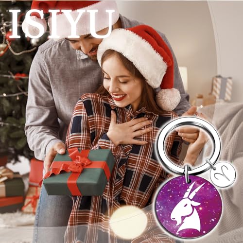 isiyu 12 Constellation Keychain Zodiac Astrology/Birthday For Women Men Adults Boys Girls Horoscope Lovers Gifts For Women - color: Color 2