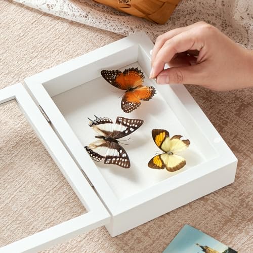 5x7 White Deep Shadow Box Picture Frame with HD Clear Glass - color: White, size: 5x7in