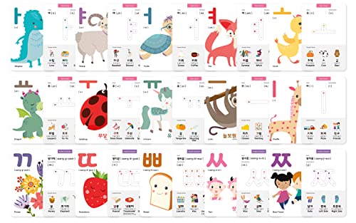 40 Korean Flashcards – 4x6 Dry Erase Hangul (Gift Box)