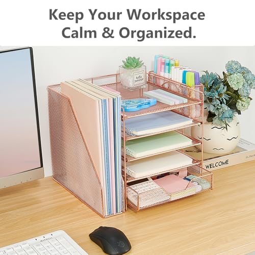 5-Tier Desk File Organizer with Drawer & Pen Holder (Rose Gold) - color: Rose Gold