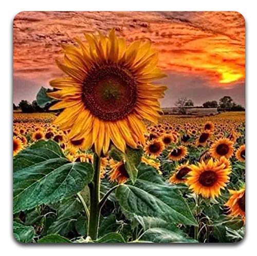 Sunflowers Square Coaster Set - Made of Recycled Rubber - Set of 4 - color: Sunflowers
