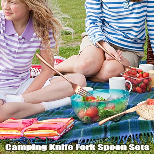 MURRI&MURRDI Travel Stainless Steel Cutlery Set for 1, Reusable Flatware Set with Case, Camping Silverware Set for Work, Knife Fork Spoon Utensil Set 3 Piece (Rose Gold) - color: Rose Gold