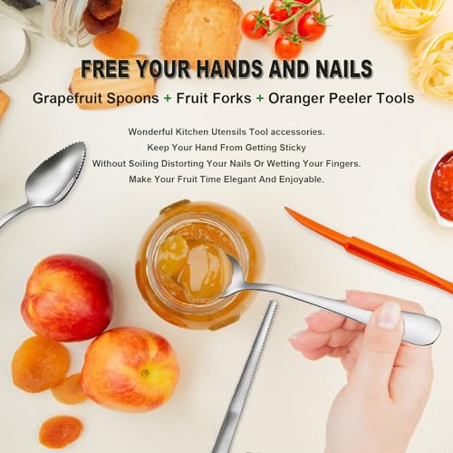 Grapefruit Spoons Serrated Edge Stainless Steel Grapefruit Utensils Tool Dessert Spoons for Citrus Lemon Kiwi Salads Melon Lime Pitaya Apple Fruit Puree
