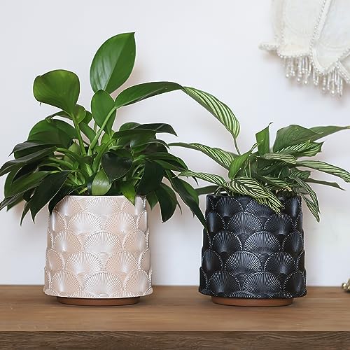 GUGUGO Pearl Beige Scale Planter, Cute Unique Plant Pot with Drainage, Eclectic Colorful Small Flower Planters Pots for Indoor & Outdoor Plants, Rainbow Funny Succulent Gardening Pot Gifts - color: C, size: 5in