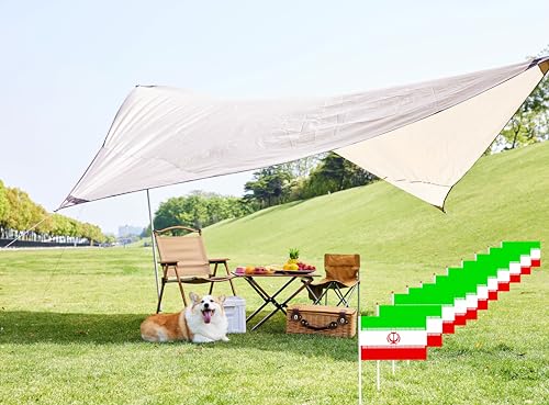 50 Pack Iran Iranian Flags Small Mini Hand Held Iran Iranian on Stick Flags, Miniature National Country Flags,Party Decorations Supplies for Parades,International Festival - color: Iran