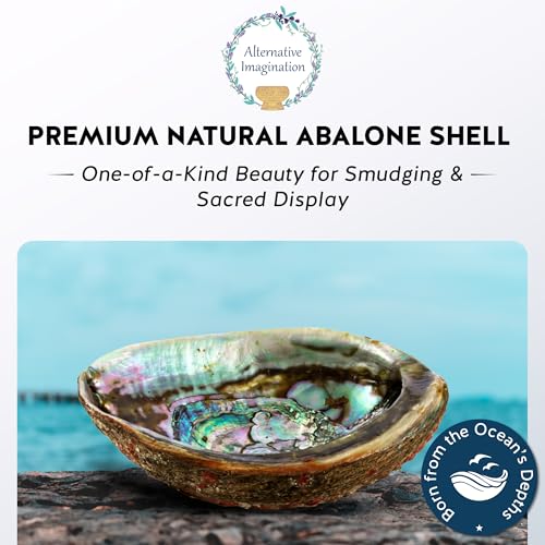 Hand Selected Abalone Shell, 5-Inch+ Polished Smudging & Display Bowl Kit - size: 5 Inches