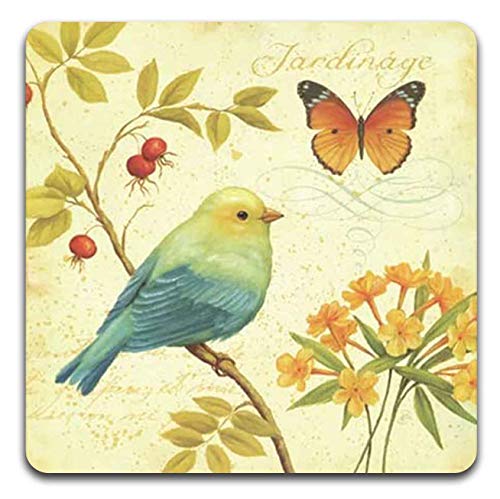 Bird and Butterfly Square Coaster Set - Made of Recycled Rubber - Set of 4 - color: Bird and Butterfly