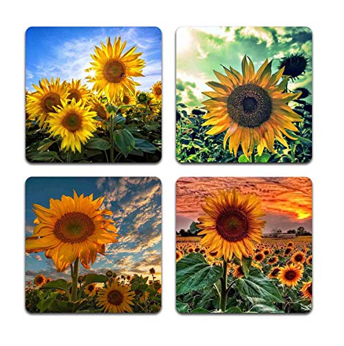 Sunflowers Square Coaster Set - Made of Recycled Rubber - Set of 4 - color: Sunflowers