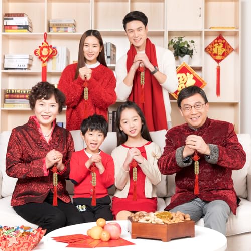 15 Strings Chinese Lucky Coins, 2024 Chinese New Year Decorations Copper Fortune Coins Red Chinese Knot Feng Shui Coins Hanging Tassels for Spring Festival Decoration