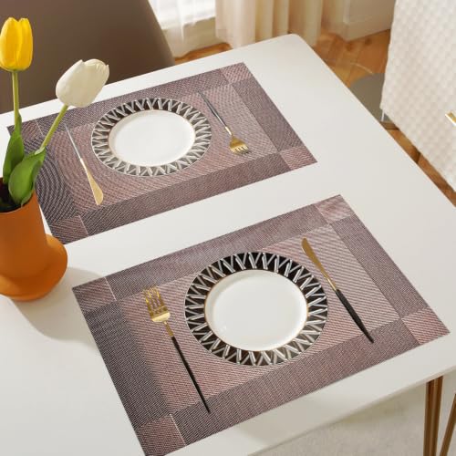 Vinyl Placemats Heat-Resistant Table Mats Washable Easy Clean Plastic Placemats for Dining Table Set of 6 (Brown) - color: 01: Brown, size: 6 Placemats