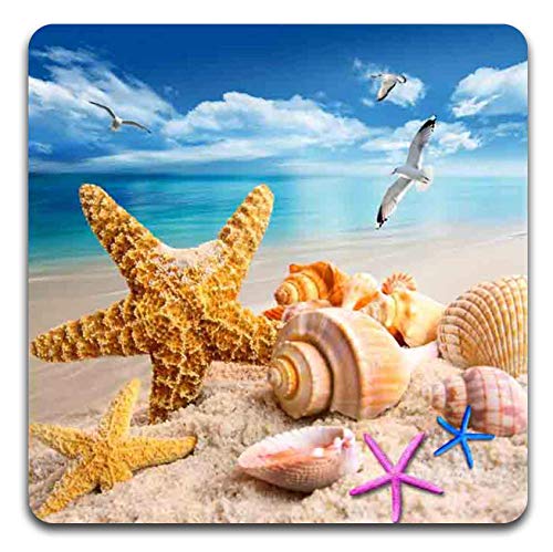 Beach Shells Square Coaster Set - Made of Recycled Rubber - Set of 4 - color: Beach Shells